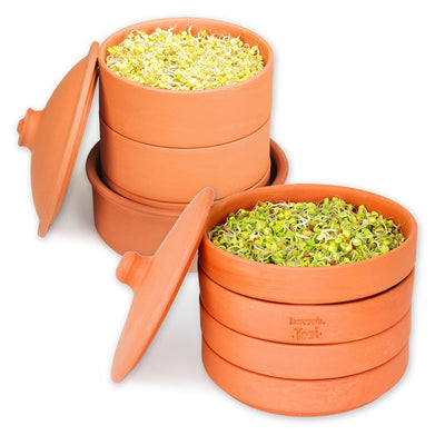 hawos Toni Clay Sprouter