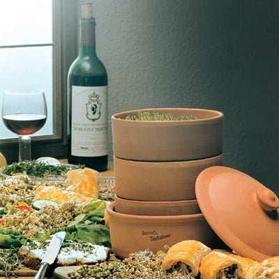 hawos Toni Clay Sprouter